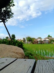 wooden bridge over the pond