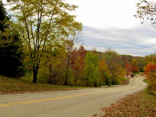 Naklejka premium road in autumn forest