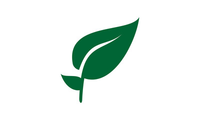 growth green leaf vector