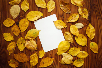Yellow autumn leaves and blank paper with space for text, on wooden background.