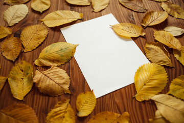 Fototapeta na wymiar Blank white sheet of paper and yellow leaves on the brown wooden background.