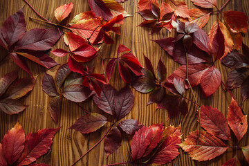 Red autumn leaves on wooden background. Composition with autumn leaves.