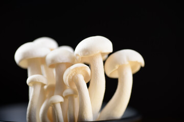 Shimeji mushroom, organic fresh vegetable food ingredient