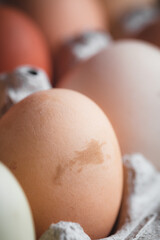 Close up of a fresh egg with a stain on it's shell