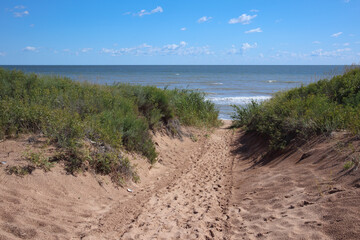 Fototapeta na wymiar Beach on the coast of the sea of Azov. Kuchuguri