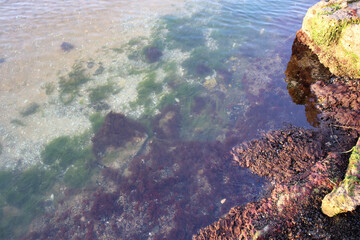 Beach on the coast of the sea of Azov. Kuchuguri