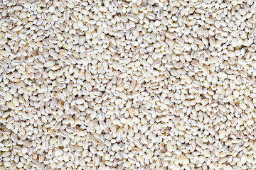 raw grain of pearl barley