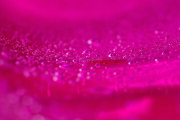 赤紫色に光り輝く水滴