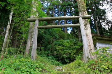 霧幻峡　大山祇神社