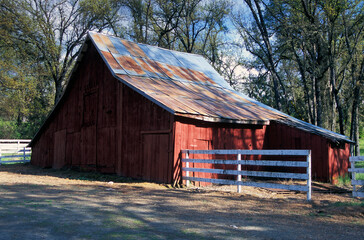 Old red barn in spring, Oakhurst, CA - 390524950