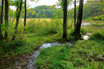 Obraz premium 矢ノ原湿原 代官清水