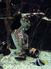 Obraz premium Underwater Statue