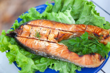 Roasted trout steak on lettuce leaves on a blue plate close-up
