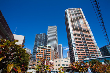 武蔵小杉の高層マンション群