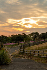 Fototapeta na wymiar 長崎県長崎市　あぐりの丘の風景