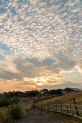 長崎県長崎市　あぐりの丘の風景