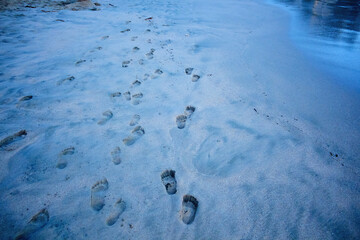 Pisadas en la Playa