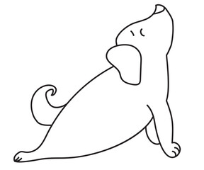 Yoga pets. A cute and funny puppy stands in an asana. Dog yoga. Outline. Vector illustration. Self-isolation and sports at home