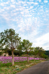 長崎県長崎市　あぐりの丘の風景