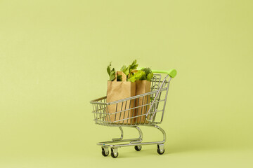 Paper shopping bags with fresh green salad in cart, trolley. Eco food delivery concept, vegetarianism.