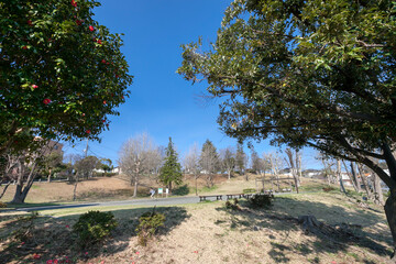 あざみ野一丁目公園（神奈川県横浜市青葉区あざみ野）