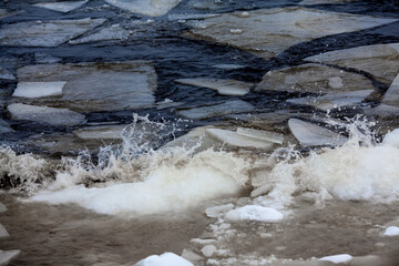 Melting ice. Drifting ice floes