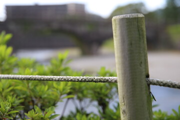 木の杭とロープ