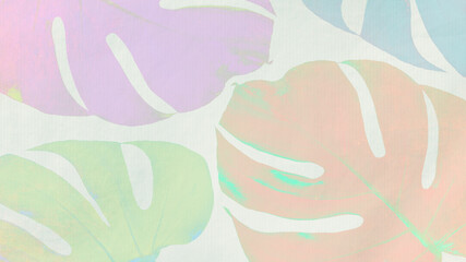 Colorful Monstera leaves on light green background