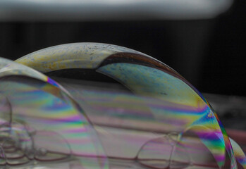 Portrait of bubble 