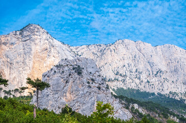 High rocky mountains on blue sky background. Green pine forest on the mountainside.