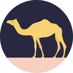
Camel, a large, long-necked ungulate mammal of arid country, with long slender legs, broad cushioned feet and either one or two humps on the back
