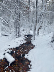 Beautiful snow scene with small stream going down center.