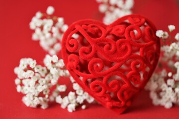 Valentine's day  card. Love and feelings concept.Decorative red heart and white gypsophila on a bright red background.Red heart in white flowers.Love symbol