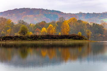 Bunte Bäume im Morgennebel an einem kleinen See in Bayern im Herbst
