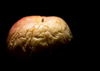 Shriveled yellow and red apple with deep wrinkles on black background.  Concept of aging.