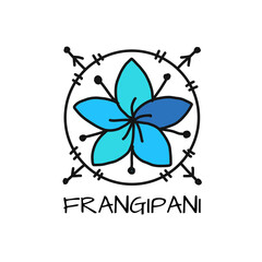 White plumeria (Frangipani). Art sign isolated on white