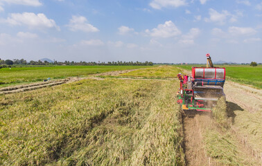 Harvester machine to harvest rice field working from aerial view in Thailand.