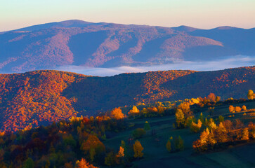 foggy autumn scenery in mountains at sunrise. red and yellow foliage on the trees. hazy weather in the valley