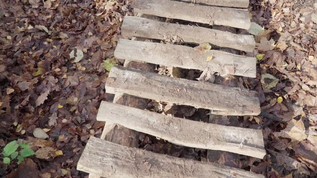 Wooden footbridge over mud