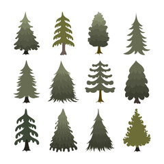 Obraz premium Beautiful set of christmas trees vector illustration