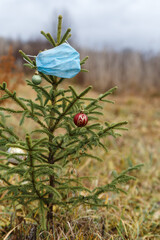 Little Christmas tree hid from covid-19 in open field