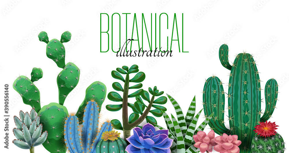 Wall mural Cactus Botanical Text Composition