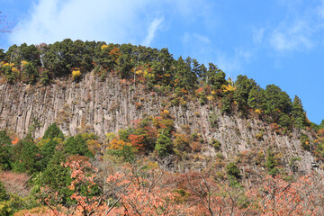 曽爾の屏風岩公苑