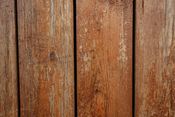 Naklejka premium texture of old wooden boards covered