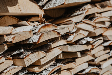 birch wood piled in a woodpile