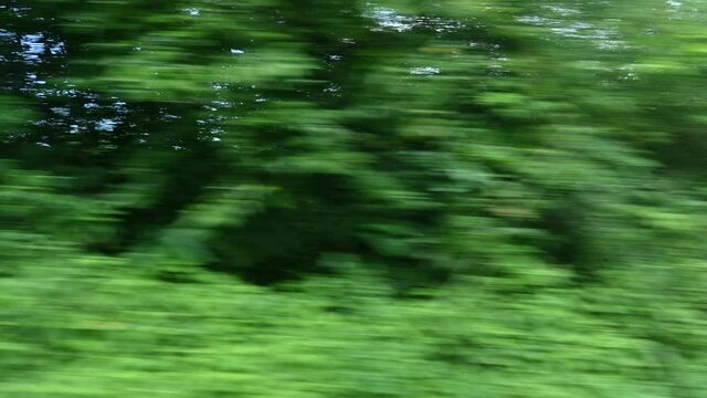 side view from train, transport motion movement of nature local field outside of the train