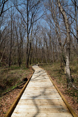 小宮公園（かわせみの小道：八王子市）