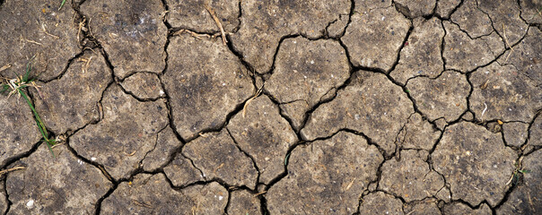 cracked earth texture