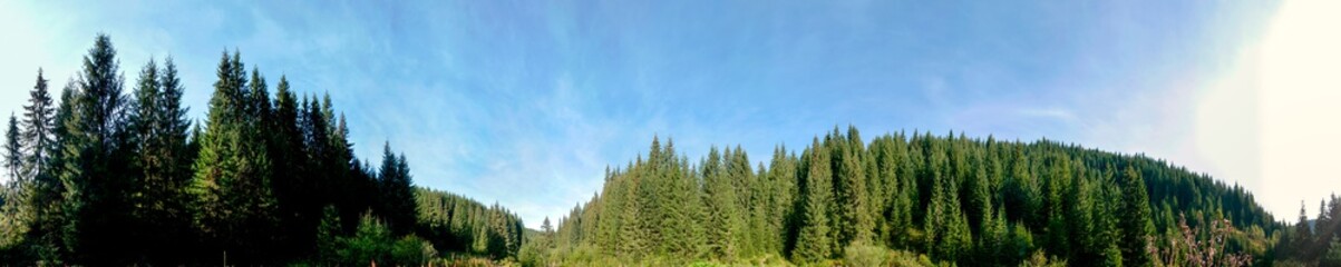 beautiful panorama with alpine pine and mountains under blue sky