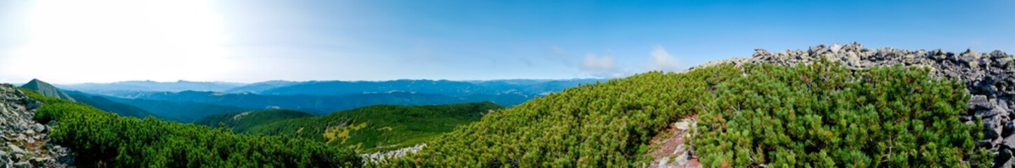 Fototapeta na wymiar beautiful panorama with alpine pine and mountains under blue sky